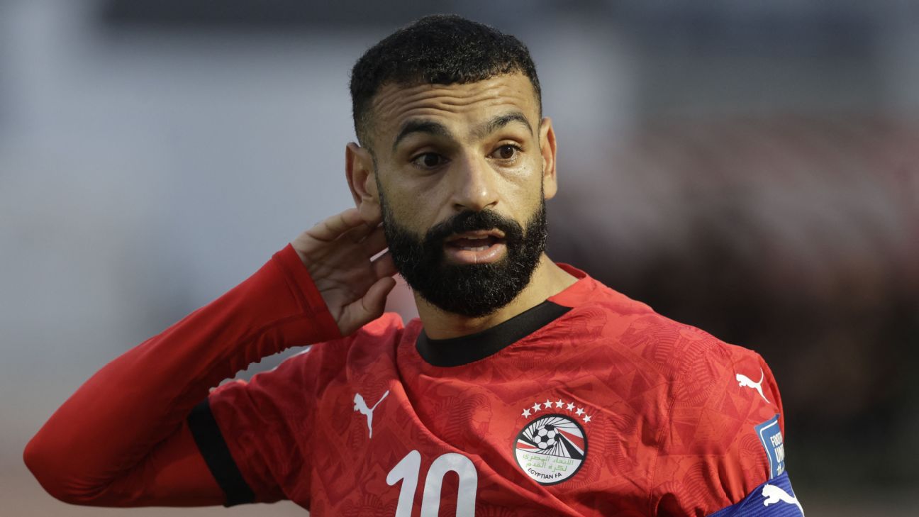 FIFA要求埃及世界杯球衣移除七颗星 只保留世界杯相关标识
